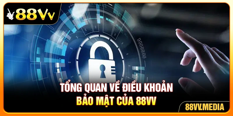 Tổng quan về điều khoản bảo mật của 88VV